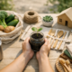 12 Sustainable Living Tips for Beginners