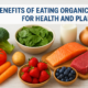 6 Benefits Of Eating Organic Food For Health And Planet