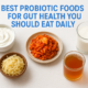 Best Probiotic Foods for Gut Health You Should Eat Daily