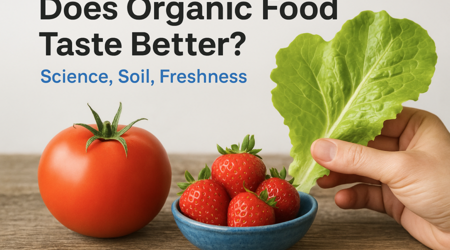 Fresh organic tomato, strawberries, and lettuce highlighting organic food taste and quality