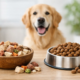 Freeze Dried Raw vs Kibble for Dogs