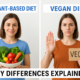 Plant-Based Diet vs Vegan Diet: Key Differences Explained